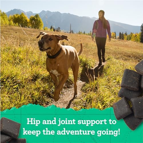 Zuke's Hip and Joint Dog Treats, Beef Recipe, 16 oz Pouch