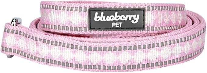 Blueberry Pet 3M Reflective Jacquard Dog Leash with Soft & Comfortable Handle, 5 ft x 3/4", Pink, Medium, Leashes for Dogs