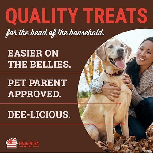 Etta Says! Yumm Sticks Beef Jerky Dog Treats - 12ct