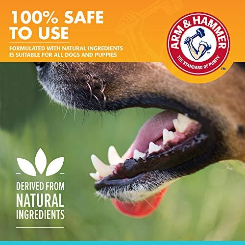 Arm & Hammer Fresh Breath Enzymatic Dog Toothpaste, Vanilla Ginger, 2.5 Oz | Baking soda dental gel eliminates bad breath, safe for daily use in puppies and adult dogs