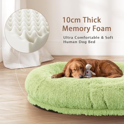 ROOMTEC Human Dog Bed, 78''x51''x12'' Size Fits Adult and Pet Washable Giant People Bed 10 CM Thick Memory Foam Large Oversize Pet Bed with Plump Pillow, Blanket, Strap - Green
