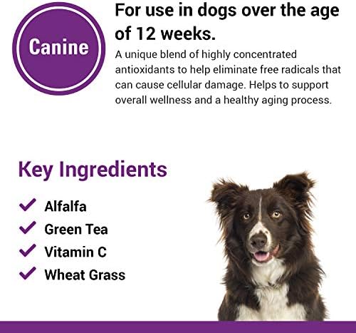 Vet Classics Antioxidants Supplement with Coenzyme Q-10 for Dogs - 120 Ct