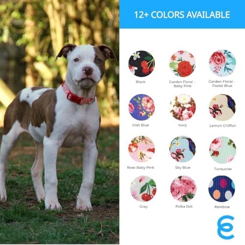 Blueberry Pet Cherry Garden Black Adjustable Dog Collar with Dainty Flowers, X-Small, Neck 8"-11"