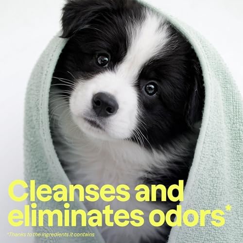 Attitude 2-in-1 Pet Shampoo and Conditioner, Dog & Puppy Shampoo with Green Tea for Deodorizing, Gentle Cleansing Grooming Wash, Vegan, Coco Breeze Scent, 8 Fl Oz