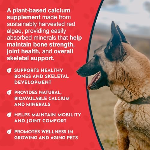 Animal Essentials Seaweed Calcium Supplement for Dogs & Cats, 12 oz (2-Pack), Iceland Seaweed Magnesium, Boron, Zinc