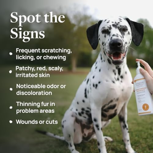 Veterinary Formula Clinical Care Antiseptic & Antifungal Shampoo + Spray | Complete antiseptic and antifungal shampoo and spray care for scaly, greasy or red skin in dogs and cats