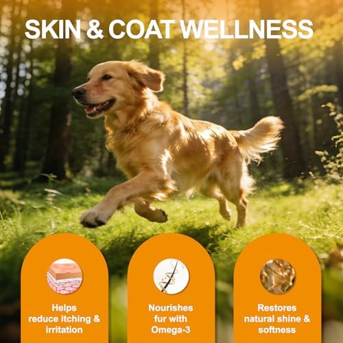 Turmeric Joint Care Drops for Dogs, Natural Hip&Joint Mobility Supplement