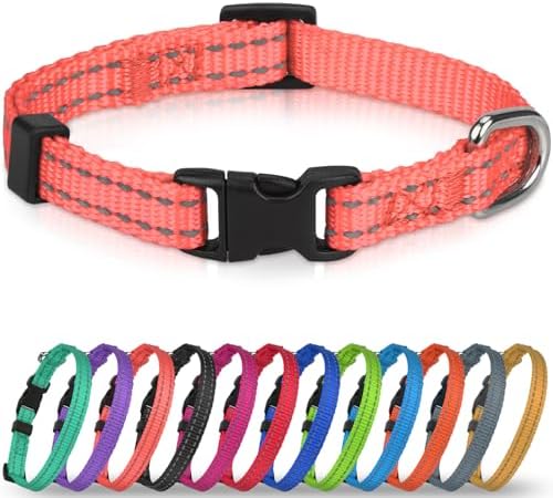Joytale Feather-Light Puppy Collar for Extra Small Dogs, 3/8", Neon Pink
