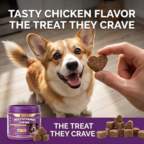 8-in-1 Dog Multivitamin - 90 Soft Chews, Chicken Flavor - Glucosamine, MSM, Chondroitin & Salmon Oil - Support Joint, Immune, Skin & Coat, Digestion for All Ages & Breeds Dogs.