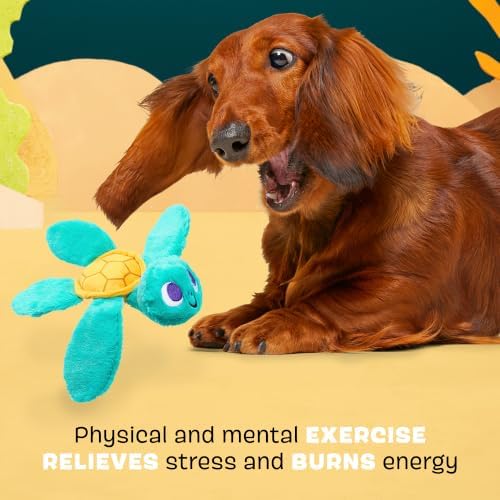 BarkBox Stevie Sea Turtle Dog Toy - Extra Small to Small Dogs | Plush Sea Turtle Toy with Whip-N-Flip Fins, Squeaker and Crinkle | Fetch and Thrash | 9-20 lbs