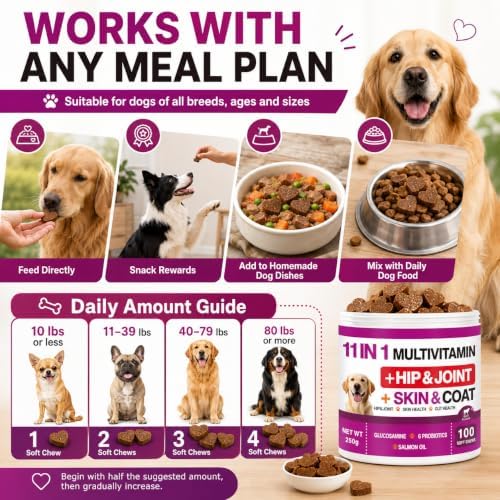 11 in 1 Dog Multivitamin Soft Chews, Daily Vitamins for Dogs with Glucosamine, Probiotics, Salmon Oil, Omega Fatty Acids, Hip & Joint Support, Skin & Coat Care, Gut Health Nutrition, Beef Flavor