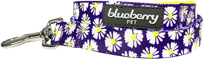 Blueberry Pet 2 Pattern Loving Daisy Prints Dog Leash with Soft & Comfortable Handle, 4 ft x 1", Large, Leashes for Dogs