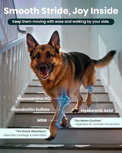 NAD+ Glucosamine for Dogs Hip and Joint Supplement-300 Soft Chews