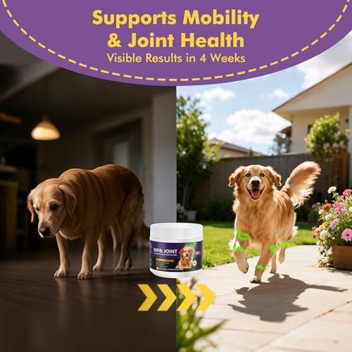 Hip&Joint Support Chews for Dogs,Glucosamine Chondroitin MSM,120 Count
