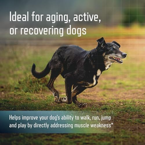 URSOLYX Soft Chews for Dogs, Medium Breed, Muscle Support, 60 Count