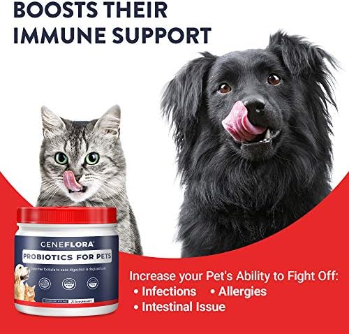Geneflora Digestive Enzymes Prebiotics & Pet Probiotics 125 Grams, 2 Pack