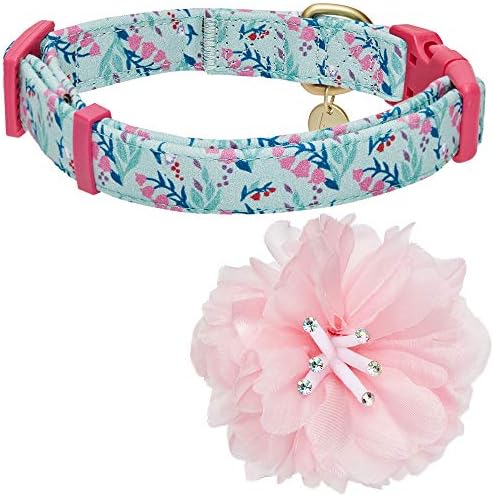 Blueberry Pet Floral Power Lily of The Valley Designer Teal Green Adjustable Dog Collar with Detachable Pink Peony, Large, Neck 18"-26"