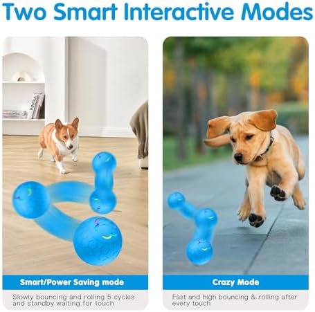 Interactive Dog Ball - 2.2" Durable Motion Activated Pet Bounce Ball for Puppy/Small/Medium Dogs, USB Rechargeable