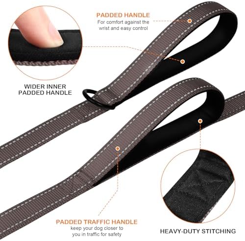 Joytale Dog Leash for Large Dogs that Pull, Double Handle, 5FT, Brown
