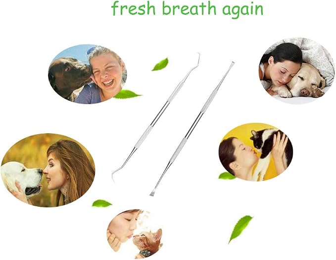 Dog Teeth Cleaning Tools Tarter Remover Canine Dental Scraper Scaler Tools Pet Tooth Cleaner Stainless Steel with Double Head