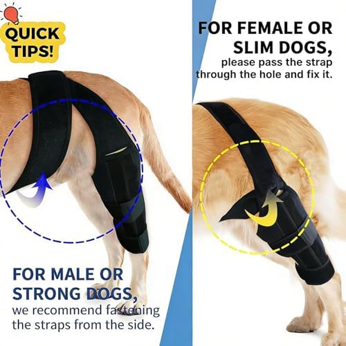 Dog ACL Braces Hind Leg with Side Stabilizers,Dog Knee Brace for Torn ACL