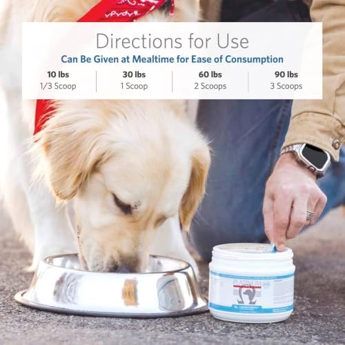 Platinum Performance® Canine PLUS | Omega-3 Wellness & Joint Support Formula for Dogs | Glucosamine Sulfate, Vitamins & Antioxidants | Dog Supplement Powder for Active & Large Breeds | 1LB | 47 Scoops