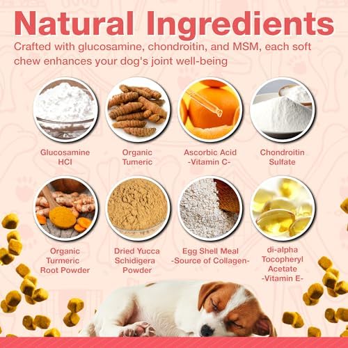 Arthritis Dog Joint Chews| Glucosamine, Chondroitin, Omega-3| MSM Support for Healthy Joints| 120ct Veterinarian Formulated Soft Chews| Up to 4-Month Supply