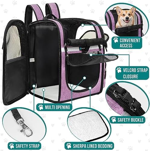 PetAmi Dog Backpack Carrier, 4-Way Entry Ventilated, 18 lbs, Purple