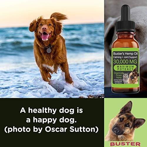 Buster's Hemp Oil for Dogs & Cats, Joints, Calming, Coat, 2-Pack