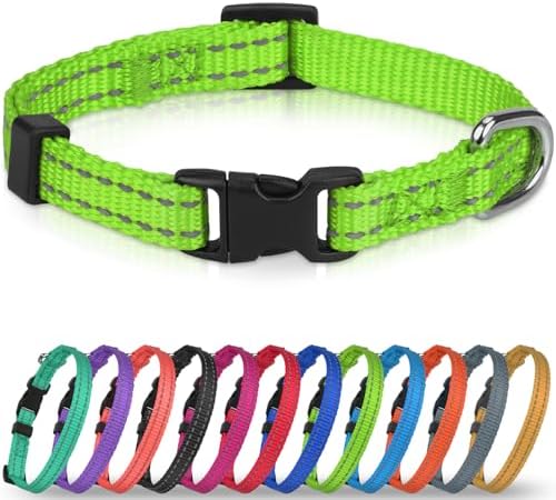 Joytale Feather-Light Puppy Collar for Extra Small Dogs, 3/8", Green