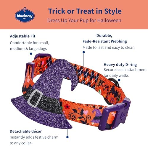 Blueberry Pet Halloween Witch Hat Adjustable Dog Collar with Detachable Glitter Accessory, Medium, Neck 14.5"-20"
