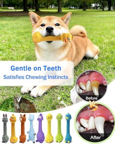 SCHITEC Squeaky Dog Toys, [2 Pack] Squawking Latex Toy with Interactive Squeaker, Squeak Rubber Duck Chicken for Medium Small Dogs