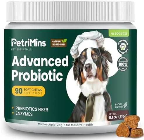 Advanced Probiotic for Dogs, Supports Digestive Health, Immune Health, Gut Health, Improves Nutrient Absorption - Six Strains of Probiotics - Inulin - Enzyme Blend, 90-Count, Bacon
