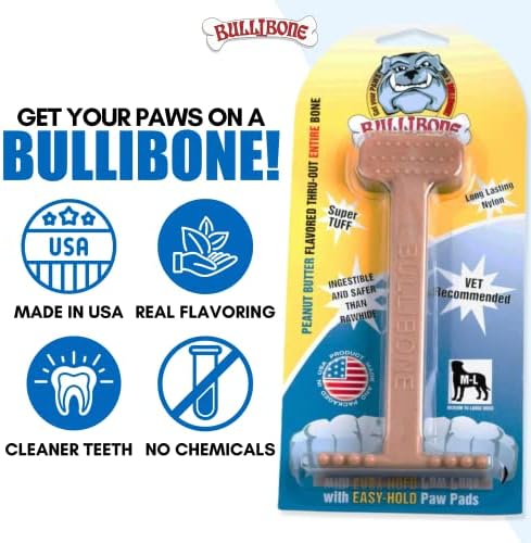Bullibone Nylon Dog Chew Toy for Aggressive Chewers - Dental Hygiene Bone with Peanut Butter Flavor, Durable Tough Chew Toys for Small Dogs, Indestructible Dog Bone - Single