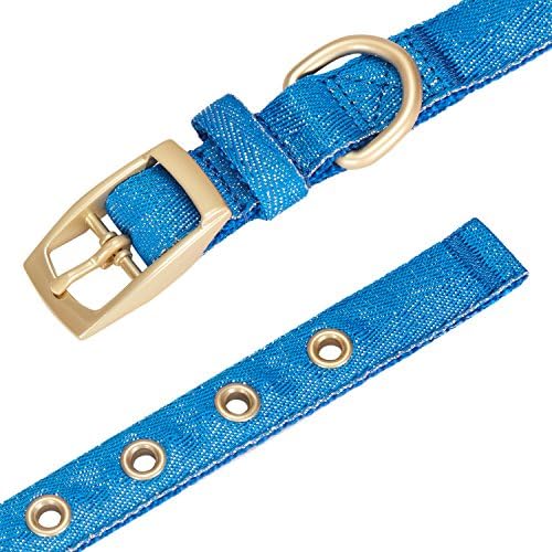 Blueberry Pet The Most Coveted Designer Mixed Metallic Thread Adjustable Dog Collar in Sparkling Azure Blue with Metal Buckle, Neck 13-16.5", for Medium Breed