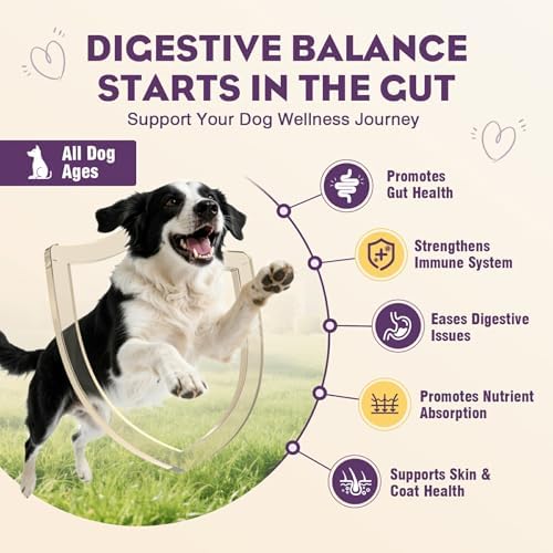 Probiotics for Dogs 200pcs Dog Probiotics for Digestive Health Bacon