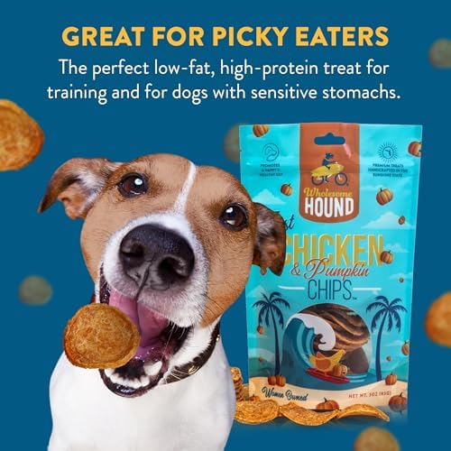 Chicken & Pumpkin Chips – Single Ingredient Dog Treats, All Natural & Healthy Training Snacks for Small, Medium & Large Breeds, Puppies – High Protein, 3oz (Pack of 2)