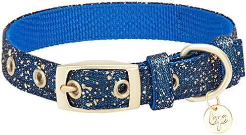 Blueberry Pet Gold Stamping Lace Adjustable Dog Collar in Classy Navy, Neck 9-12.5", for Small Breed