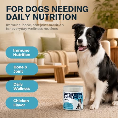 Lactoferrin Supplement Powder for Dogs, Immune, Bone & Joint Nutrition