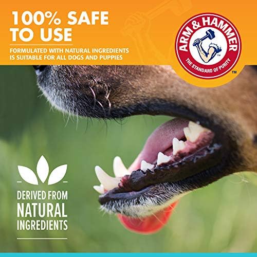 Arm & Hammer Fresh Breath Enzymatic Dog Toothpaste, 2.5 Oz, 72-Pack | Baking soda dental gel eliminates bad breath, safe for daily use in puppies and adult dogs