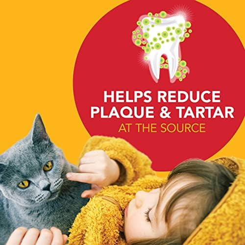 Petrodex Dental Care Kit for Cats, Cat Toothbrush and Toothpaste, Cleans Teeth and Fights Bad Breath, Reduces Plaque Tartar Formation, Malt Flavor, 2.5oz Toothpaste + Toothbrush | Complete oral care kit: toothpaste + dual-end toothbrush; reduces plaque...