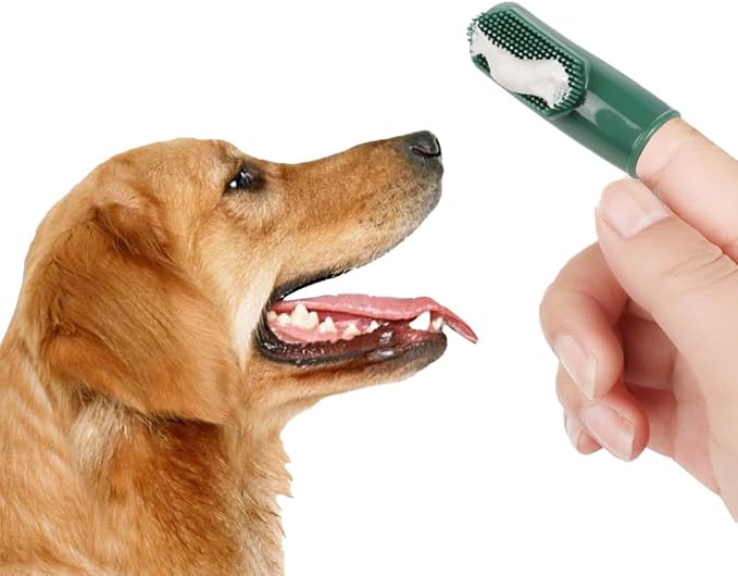 ITODA 3-Piece Dog Toothbrush Kit, 2 Pack Tooth Brushing Pet Cat Teeth Cleaning Oral Dental Care Fresh Breath Brush Set with Toothbrush Toothpaste Fingerbrush for Puppy Small Medium Dogs - Beef Flavor