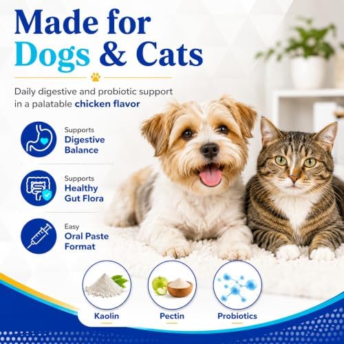 BalanceGI Probiotic Oral Paste for Dogs & Cats, Digestive Support, 15cc