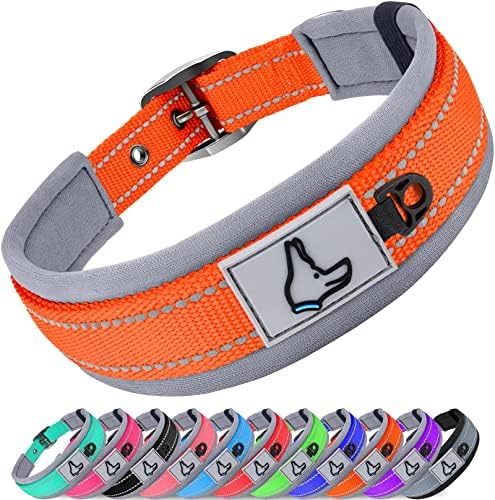 Joytale Reflective Dog Collar for Small Dogs with Wide Padding, Orange