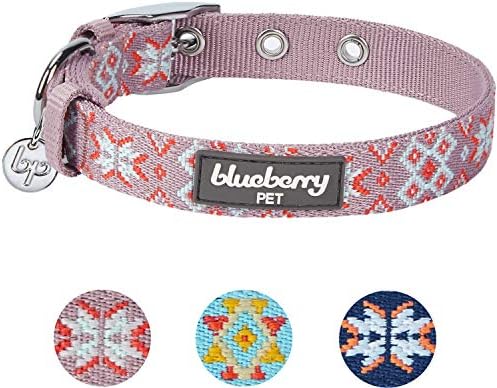Blueberry Pet Southwestern Modern Tribal Print Thistle Braided Adjustable Dog Collar with Metal Buckle, Neck 17-20.5", for Large Breed