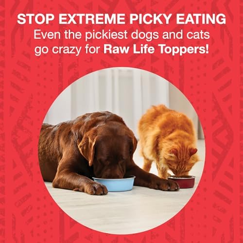 KOHA Raw Life Freeze-Dried Raw Topper Beef for Dogs and Cats, High Protein Meal Topper for Picky Eaters with Probiotics, 8oz Bag