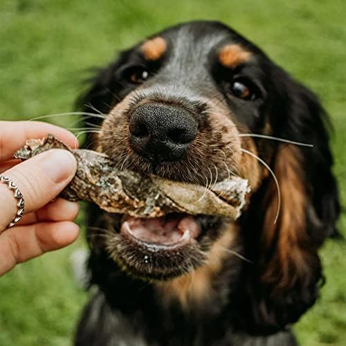 SKIPPER'S Cod Fish Skins Twists Dog Chews - 100% Fish Skin Grain Free Treats for Dogs, High in Protein & Low in Fat, Essential Omega 3 Oils | Great for Teeth (Regular, 8.82 Oz)