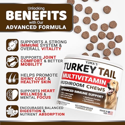 Turkey Tail Mushroom for Dogs - 170 Count - Mushroom Chews for Dogs | Dog Supplement for Lipoma Lumps & Bumps - Immune Health, Digestive, Skin, Energy & Joint Support - Guard Buddy Multivitamin