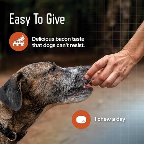 URSOLYX Soft Chews for Dogs, Large Breed, Muscle Support, 60 Count