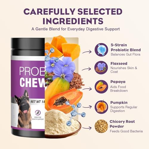 Probiotics for Dogs 200pcs Dog Probiotics for Digestive Health Bacon